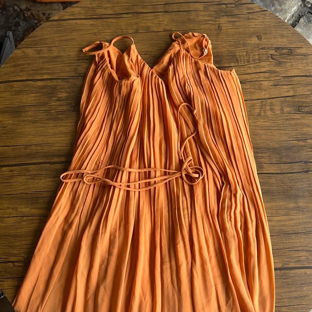 Naked Zebra orange pleated dress